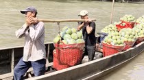 Nhiều loại trái cây ĐBSCL được giá, hút hàng
