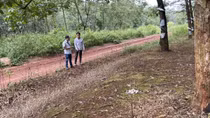Đề nghị khởi tố vụ án, khởi tố bị can vụ cháu bé 8 tuổi bị đốt