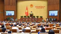 Chính phủ quyết định việc thành lập cơ quan thanh tra tại các Tổng cục, Cục cụ thể