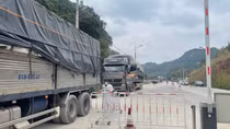 Hơn 1.800 xe hàng nông sản tồn ở khu vực cửa khẩu Lạng Sơn
