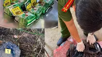 Vận chuyển 8kg ma túy, trốn ra nước ngoài cũng không thoát