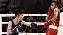 Boxing Việt Nam và cuộc "tổng tiến công" hướng tới SEA Games 31