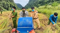 Xung kích lập công trên quê hương cách mạng Cao Bằng