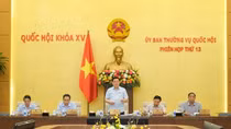 Cho ý kiến Luật Đất đai (sửa đổi), thông qua Luật Phòng, chống rửa tiền (sửa đổi) tại Kỳ họp thứ 4