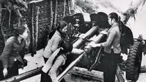 Đại đội nữ pháo binh Ngư Thuỷ - Ngày ấy, bây giờ