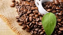 Cà phê Việt Nam được ưa chuộng tại Nhật Bản