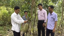 “Cầu nối” chuyển tải hiệu quả nguồn vốn tín dụng chính sách