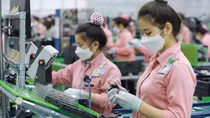 Xuất khẩu giảm, doanh nghiệp quay lại thị trường nội địa