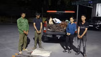 Bắt nhóm trộm cắp 3.000m cáp điện trên cao tốc Vân Đồn – Móng Cái