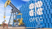 OPEC tuyên bố "không hứng thú" gia tăng sản lượng dầu