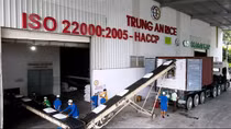 Gạo Việt Nam “rộng cửa” vào thị trường châu Âu