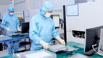 Triển khai Nghị quyết số 02/NQ-CP: Thúc đẩy phục hồi và phát triển kinh tế - xã hội
