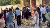 Khởi tố tội giết người vụ 3 con gái mang xăng đốt nhà mẹ đẻ
