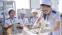 Cơ hội thực tập sinh Việt Nam sang Nhật Bản làm việc