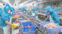 Sóc Trăng tuyển hàng ngàn lao động ngành Thủy sản