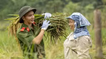Công an huyện Bát Xát lội ruộng giúp dân gặt lúa