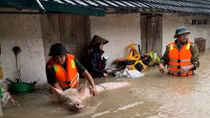 Công an Tam Đảo giúp dân sơ tán tài sản trong mưa lũ