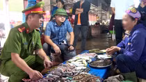 Cảnh sát nỗ lực cứu chim trời