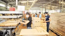 Tín hiệu khả quan cho doanh nghiệp xuất khẩu