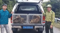 Hỗ trợ các hoạt động cứu hộ, bảo tồn ở Phong Nha-Kẻ Bàng