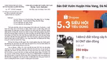 Đà Nẵng cảnh báo bẫy lừa "dịch vụ chuyển đổi mục đích sử dụng đất"