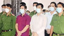 Thấy gì từ vụ lừa đảo rung chuyển vùng đất lúa