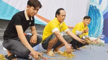 Độc đáo đua cua lần đầu tiên ở Cà Mau