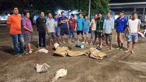 Phá tụ điểm đá gà ăn tiền, tạm giữ 14 đối tượng