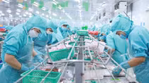 IDI - "Viên ngọc sáng" của vùng đất Cửu Long