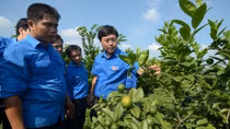 Khuyến khích tinh thần khởi nghiệp của thanh niên nông thôn