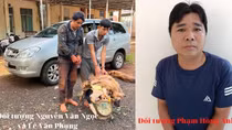 Đối tượng thứ 3 trong nhóm dùng ô tô đi trộm chó đã ra đầu thú