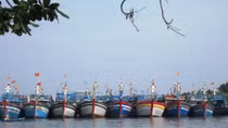 Nhiều tàu cá đánh bắt xa bờ phải “đắp chiếu” do thiếu lao động