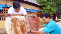 Đẩy mạnh phát triển du lịch nông nghiệp ở vùng châu thổ Cửu Long