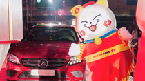 Techcombank tri ân khách hàng hàng trăm nghìn quà tặng “Mèo Đại Cát” trị giá đến 100 tỷ đồng