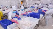 Lách khe hẹp xuất khẩu thủy sản tiếp tục mở cửa thị trường