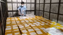 Bắt giữ xe tải vận chuyển 1.750 kg cá khoai ướp formol