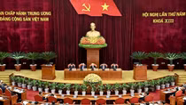 Quy định về chức năng, nhiệm vụ của Ban Chỉ đạo phòng, chống tham nhũng, tiêu cực tỉnh, thành phố