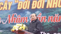 Phát triển kinh tế - xã hội hài hòa với thiên nhiên, môi trường