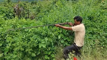 Đi săn thú, bắn nhầm người bẫy gà