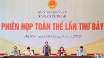 Số vụ phạm pháp về trật tự xã hội giảm 9,75% trong năm 2022