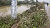 Đôi nam nữ thương vong, nghi tự tông xe vào cột điện