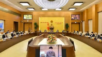 Chế tài nào xử lý doanh nghiệp trúng đấu giá rồi "bùng"?