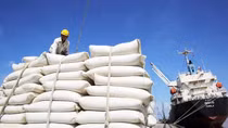 Gạo là mặt hàng xuất khẩu lớn nhất của Việt Nam sang châu Phi