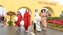 Hà Nội không thiếu điểm vui xuân