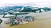 Say đắm "ốc đảo xanh" Cồn Chim
