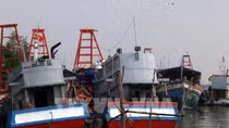 Nhiều chủ tàu cho phương tiện nằm bờ