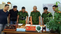 Nỗ lực cùng đồng đội phá án