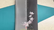 “Lắng nghe những cảm thức rất lạ” từ phương Nam