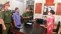 Đề nghị truy tố hai bị can trốn thuế tiền tỷ khi bán 262 lô đất ở Phú Yên