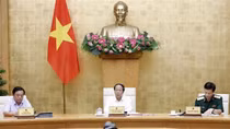 Mở đợt cao điểm kiểm tra,  xử lý vi phạm khai thác IUU